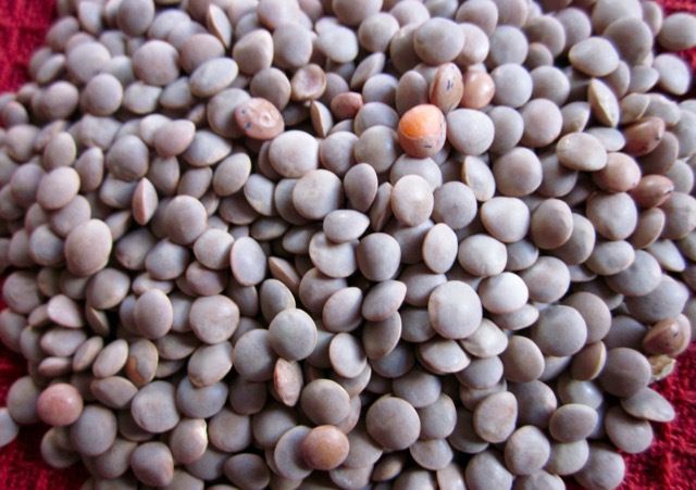 Masoor Dal Whole 1kg