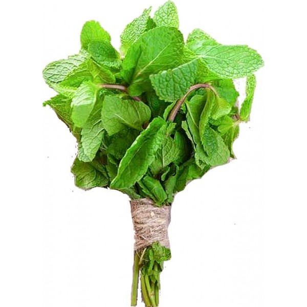 Fresh Mint 1Bunch