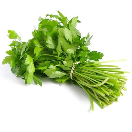 Fresh Coriander 1BUNCH