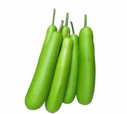 Lauki (Bottle Gourd) 454gm