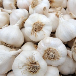 Garlic 1Lb