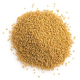 Yellow Mustard Seeds 100g