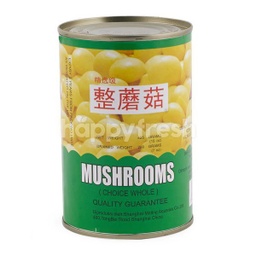 Mushroom Whole (CLC) 14OZ